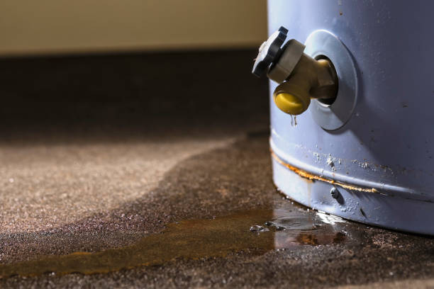 Best Flooded house restoration  in Centreville, MD