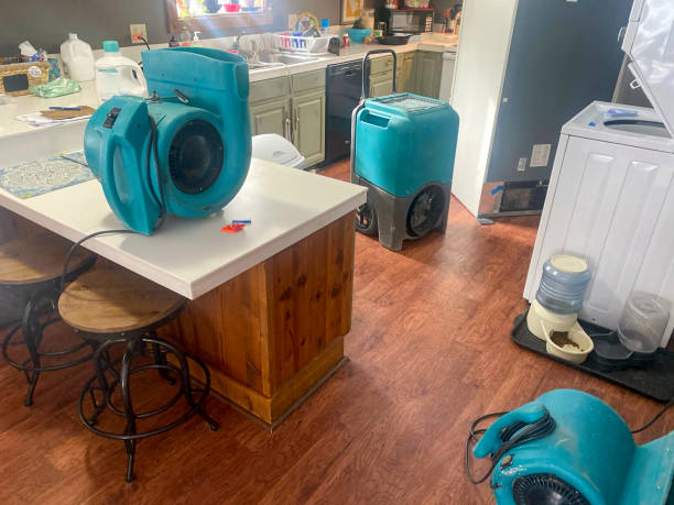 Best Carpet water damage restoration  in Centreville, MD