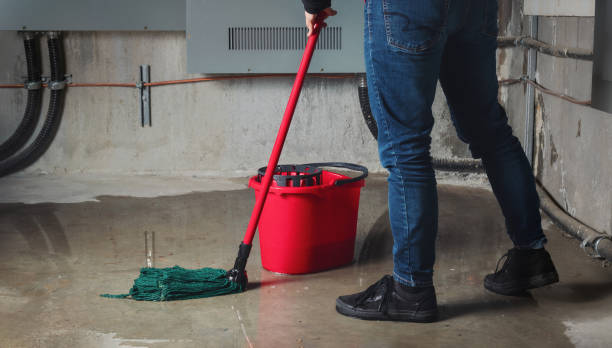 Best Professional water damage repair  in Centreville, MD
