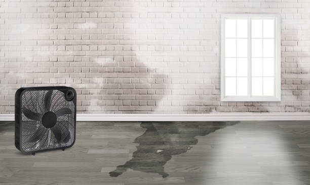 Best Fire Damage Restoration  in Centreville, MD