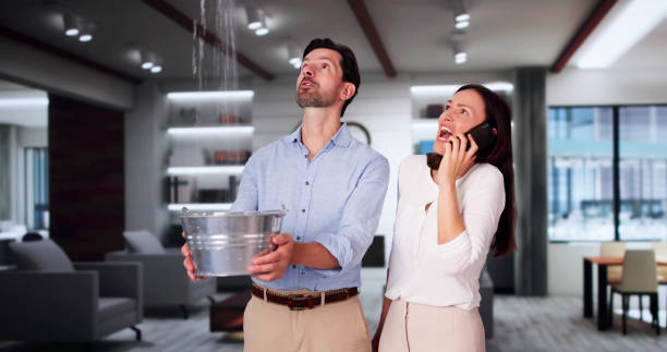  Centreville, MD Water damage restoration Pros