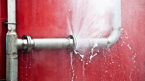 Best Water damage restoration near me  in Centreville, MD
